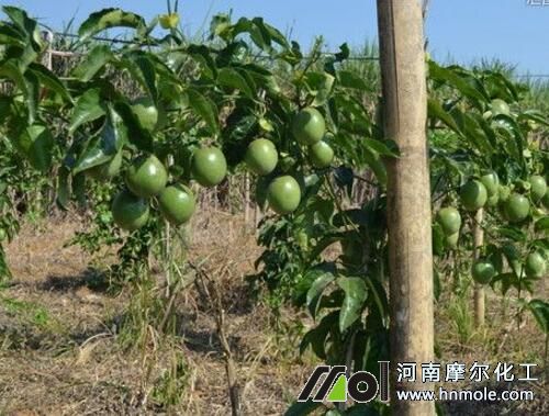 �����ʩʲô�ʱ��^��