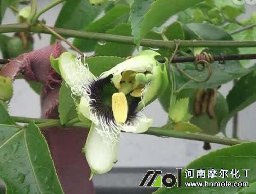 �����ʩʲô�ʱ��^��