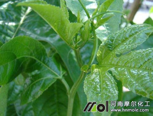 �����ʩʲô�ʱ��^��