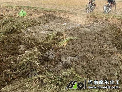 花卉施底肥 花卉施底肥