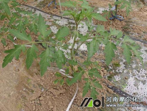 ��������׷ʩˮ�ܷ�