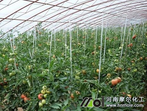 ���ѽY(ji��)����׷ʩˮ�ܷ�