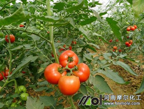 ����ʢ����׷ʩˮ�ܷ�