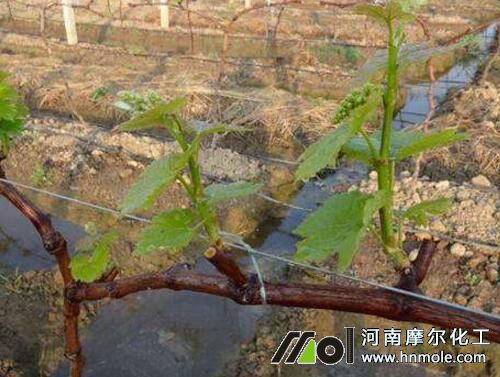 ������ѿ��׷ʩˮ�ܷ�