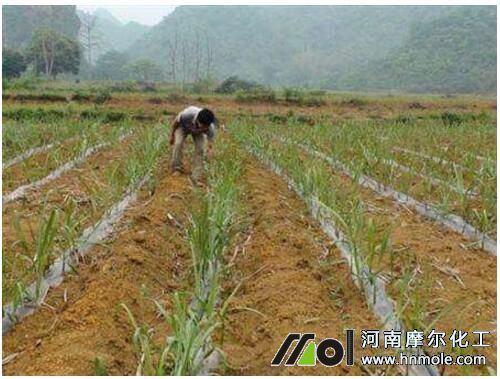 ����׷ʩ�����