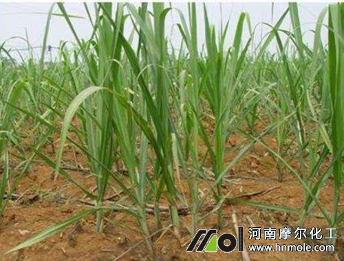 ����׷ʩ���Y��