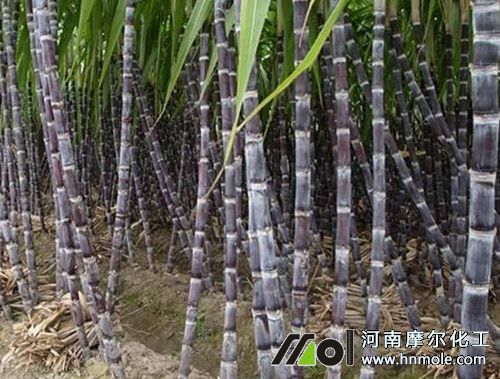 ����׷ʩ��β��