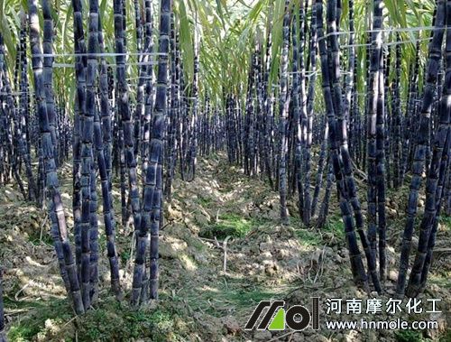 ���¸���׷�ʼ��g