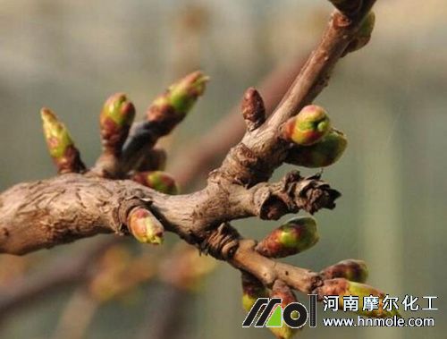 ������ѿ��ʩ��