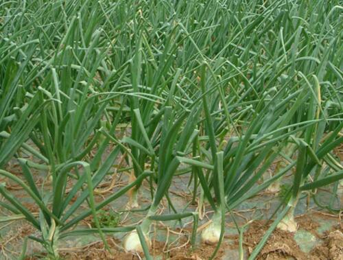 ���[���������