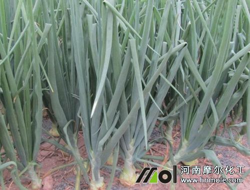 ���[���ʩ��