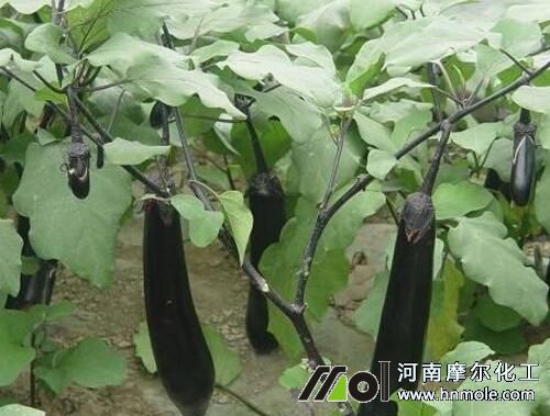 ����������c