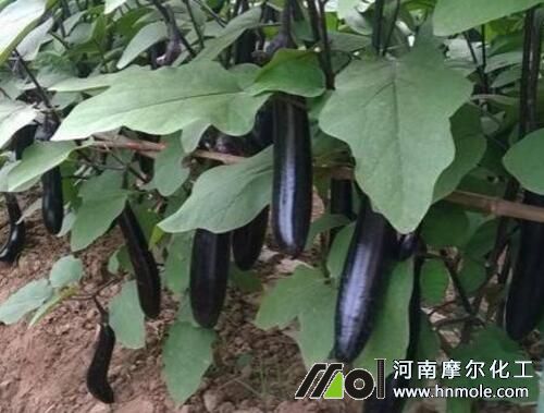 ����ˮ�ܷ��÷�����