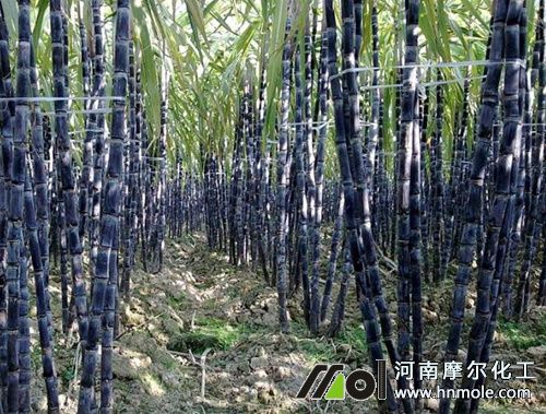 ����������cҎ��