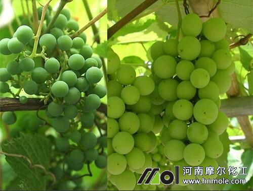 ���ѽY(ji��)����ʩ��