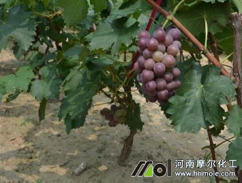 Ӱ������D(zhu��n)ɫ������