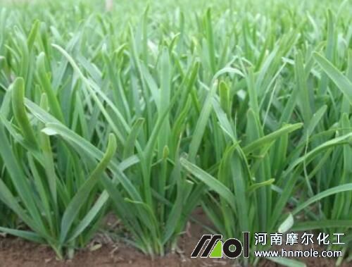 �²���ʲô�����L�Ĵ։�