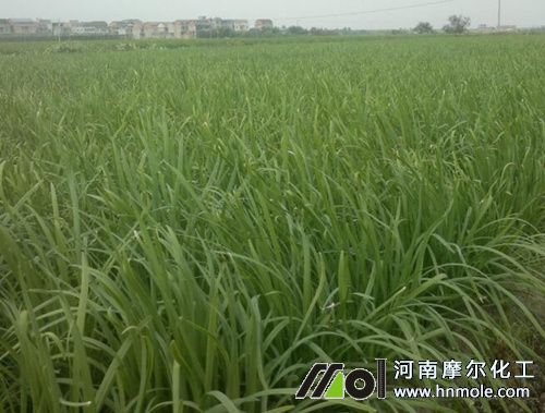 �²���ôʩ���L����