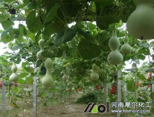 ���J������c