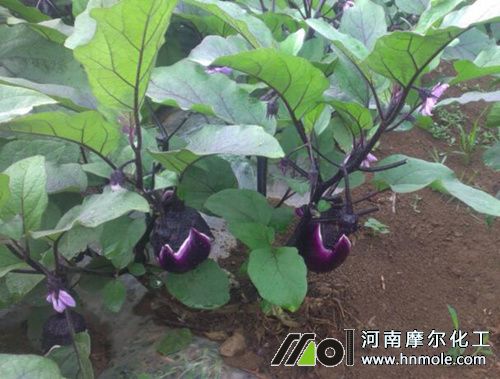 ������ʲô����