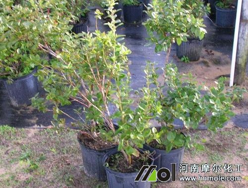 �{ݮ�������