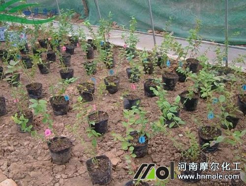 �����{ݮʩ�ʕr�g