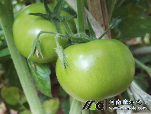 ���t��������ʩ��