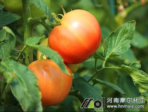 ���t��ˮ�ܷ��÷�