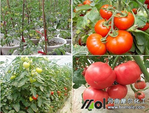 ˮ�ܷʵ����_ʩ�÷���