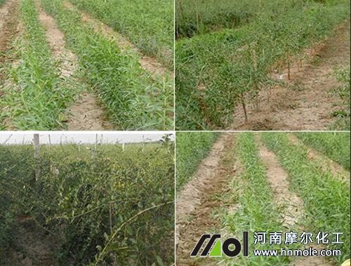 ����Ә�ʩ�ʷ���