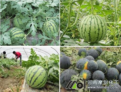 ����������x��