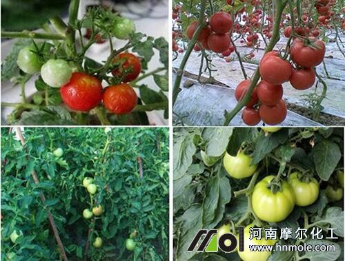 ���t������ڹ���