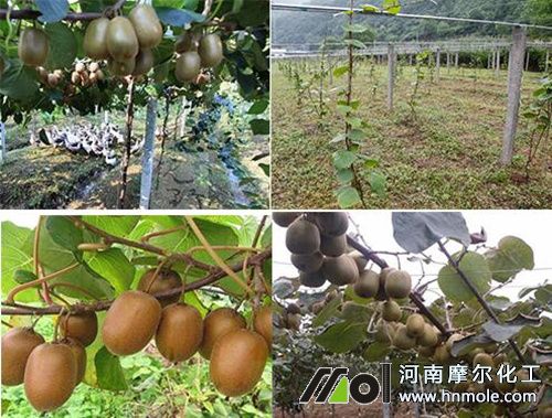 �J������ʩ���ȷ���