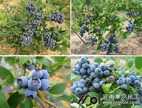 �{ݮʩ�ʷ���