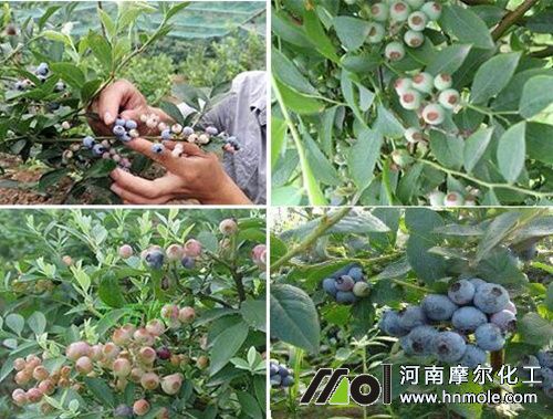 �{(l��n)ݮʩ�ʕr(sh��)�g