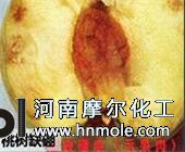 �Ҙ�ȱ��Y��