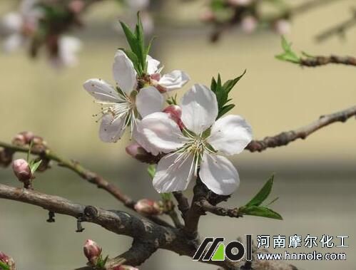 �Ҙ仨ǰ׷ʩˮ�ܷ�