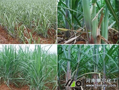 �������a����׷�ʷ���