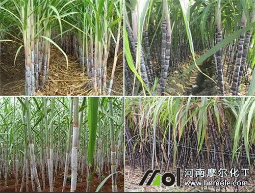 �������a����׷�ʷ���