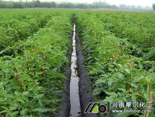 ���t����Ҫʲô����