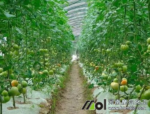 ����ˮ�ܷ����_ʹ�÷���