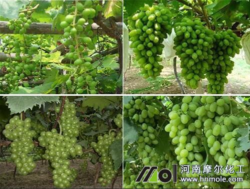 ���������׷��