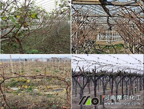 ����Խ����׷��