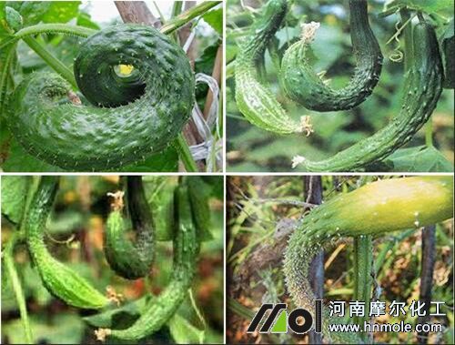 �S�σ��^�����g��ԭ��