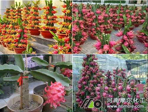 ���������ԷNֲ����