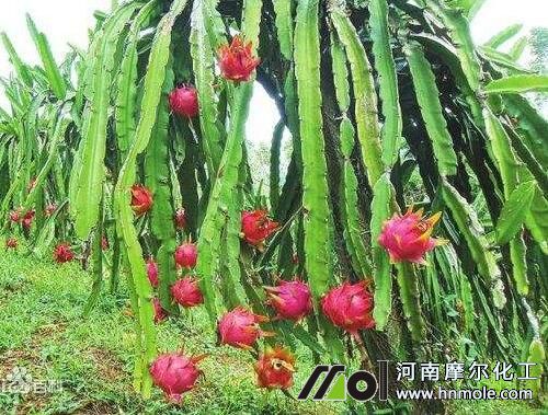 ������ˮ�ܷ��x��