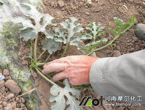 ����������ʩ��