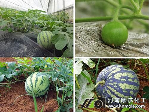 ���������ʩ��