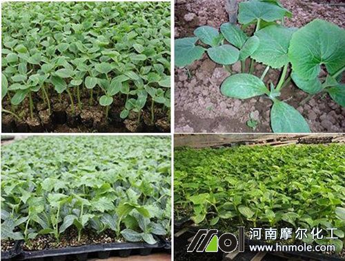 �z������������ϵ�l�_����