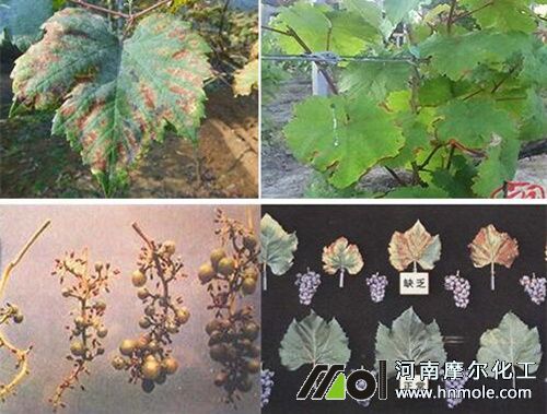 ����ȱ⛵İY��D